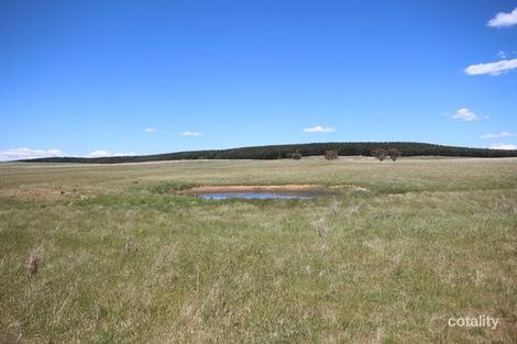 Property photo of 1000 Dog Rocks Road Black Springs NSW 2787