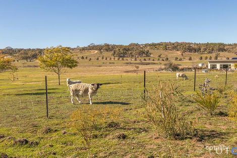 Property photo of 115 Yuranga Drive Wamboin NSW 2620
