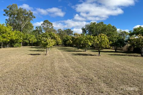 296 Mount Dangar Rd, Bowen, QLD 4805