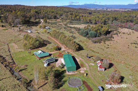 465 River Rd, Reedy Marsh, TAS 7304
