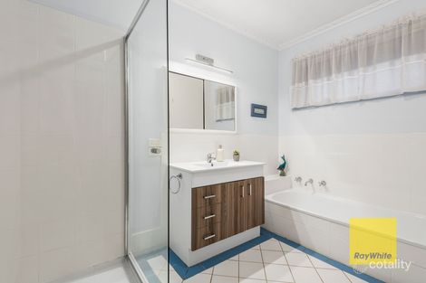 Property photo of 23 Cheryl Crescent Belmont VIC 3216