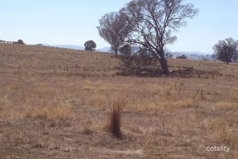 Property photo of 499 Burma Road Table Top NSW 2640