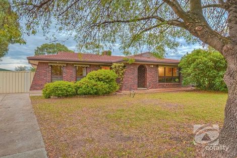 33 Maughan Ave, Redwood Park, SA 5097