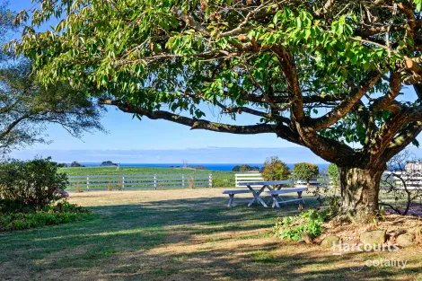 Property photo of 155 West Pine Road Penguin TAS 7316