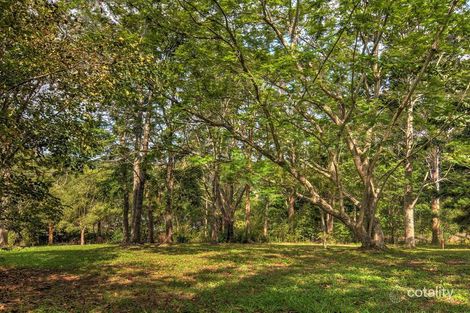 55 Obi Lane, North Maleny, QLD 4552