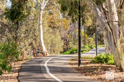 Property photo of 1A Miranda Avenue Lockleys SA 5032