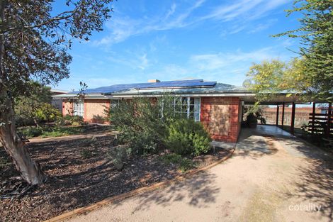 Property photo of 29 Chino Street Renmark West SA 5341