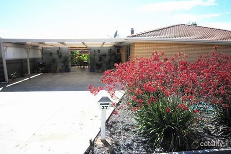 Property photo of 37 Jacana Avenue Moama NSW 2731
