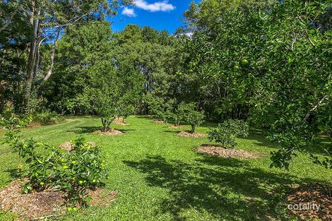 Property photo of 222 Main Arm Road Mullumbimby NSW 2482