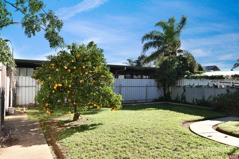 Property photo of 3 Agars Avenue Morphettville SA 5043