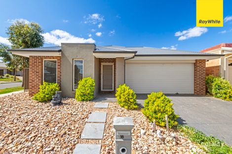 Property photo of 18 Maryburgh Road Cobblebank VIC 3338