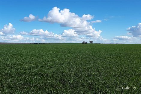 828 Morkalla North Rd, Meringur, VIC 3496