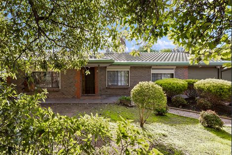 316 Milne Rd, Modbury Heights, SA 5092