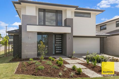 Property photo of 15 Majestic Crescent Hemmant QLD 4174