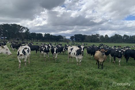 3489 Traralgon-Maffra Rd, Heyfield, VIC 3858