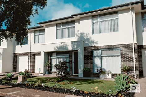 Property photo of 62 Thirza Avenue Clovelly Park SA 5042