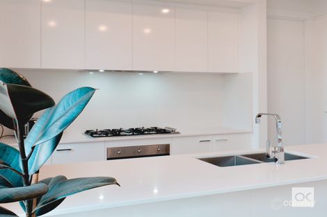 Property photo of 62 Thirza Avenue Clovelly Park SA 5042