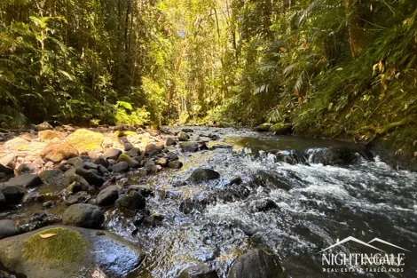499 Old Cairns Trk, Butchers Creek, QLD 4885