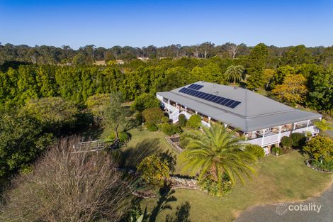 Property photo of 8 Butea Close Darawank NSW 2428