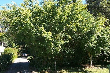 Property photo of 28 Sail Street Noosaville QLD 4566