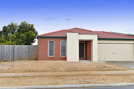 Property photo of 18 Hoddle Drive Leopold VIC 3224