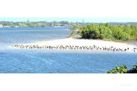 Property photo of 56 Dry Dock Road Tweed Heads South NSW 2486