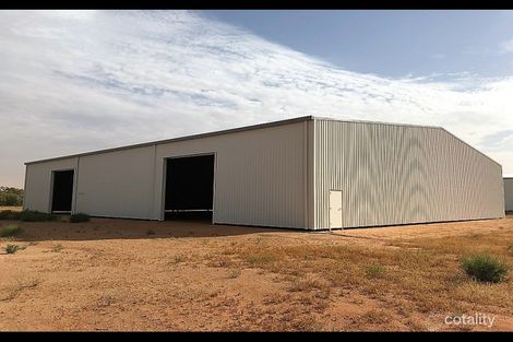 9b Modica Cres, Buronga, NSW 2739