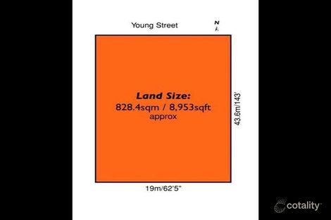 Property photo of 4 Young Street Brighton VIC 3186