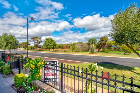 Property photo of 97 Tuart Street South Bunbury WA 6230