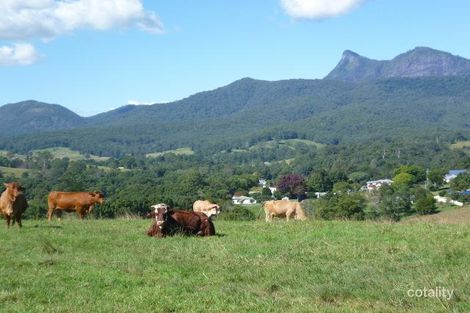 59 Tyalgum Creek Rd, Tyalgum Creek, NSW 2484