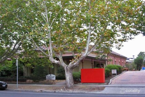 42 The Avenue, Windsor, VIC 3181