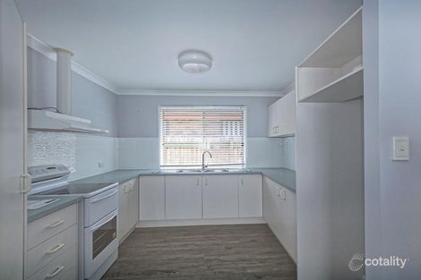 Property photo of 117 Raceview Avenue Hendra QLD 4011