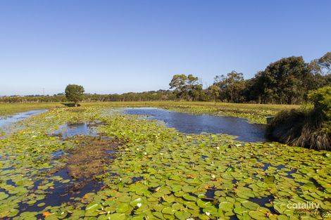 Property photo of 170 Harbison Road Rhyll VIC 3923
