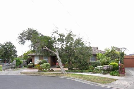Property photo of 36 Blue Hills Avenue Mount Waverley VIC 3149