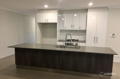 Property photo of 28 Twin Creek Court Cannonvale QLD 4802