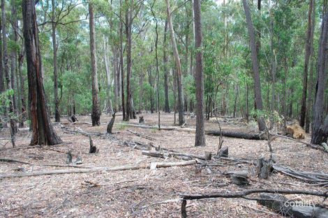 Property photo of 105 Red Gum Road Yellow Pinch NSW 2548