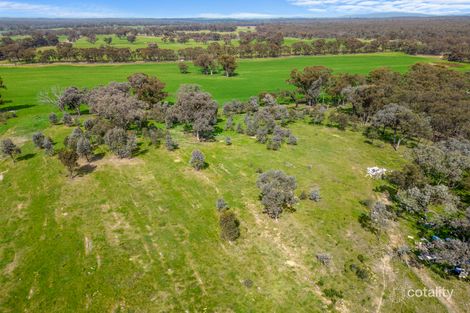 Property photo of 168 Kennelly Road Eppalock VIC 3551