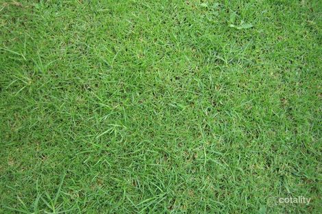 140 Pioneer Dr, Jindera, NSW 2642