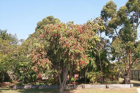 210 Dayman St, Torquay, QLD 4655