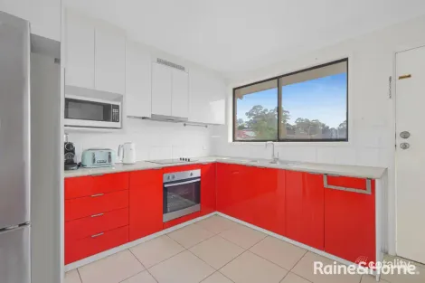 Property photo of 25 Benham Road Minto NSW 2566