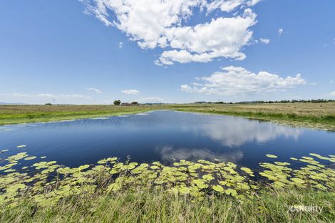 Property photo of 146 Lower Cressbrook Road Cressbrook QLD 4313