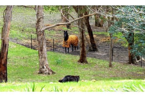 Property photo of 230 Nicholls Road Scott Creek SA 5153