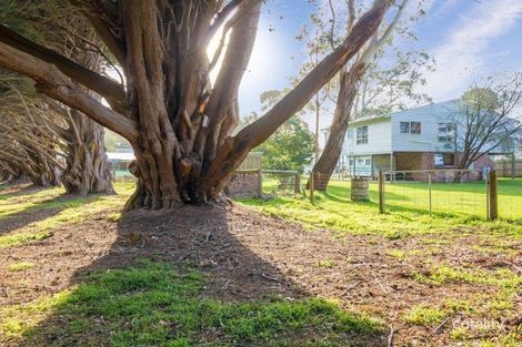Property photo of 13 McLardy Court Cowes VIC 3922