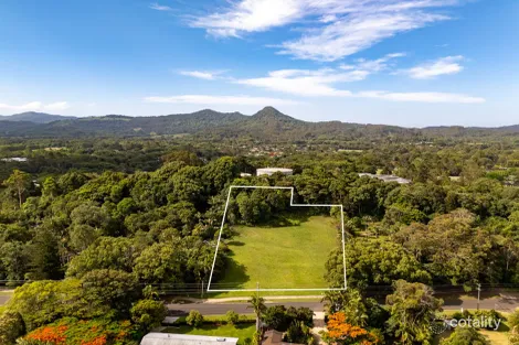Property photo of 18 Left Bank Road Mullumbimby NSW 2482