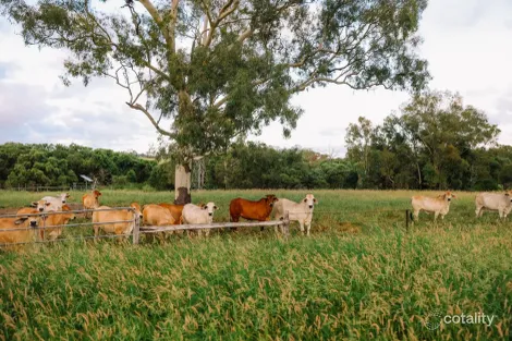 Property photo of 124 Lee Farm Road Bushley QLD 4702