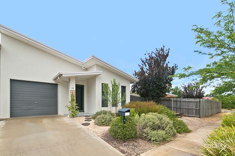 16 Bryan Hudson St, Macgregor, ACT 2615
