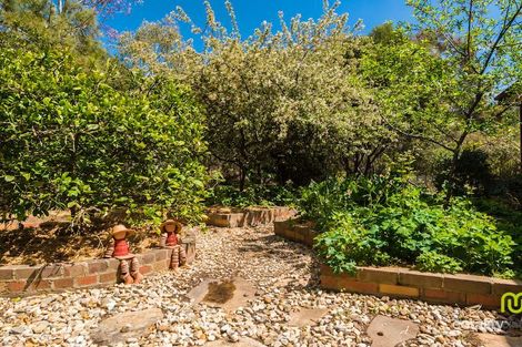 Property photo of 9 Australie Close Gilmore ACT 2905