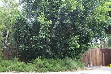 6 Thornton Pl, Gooseberry Hill, WA 6076