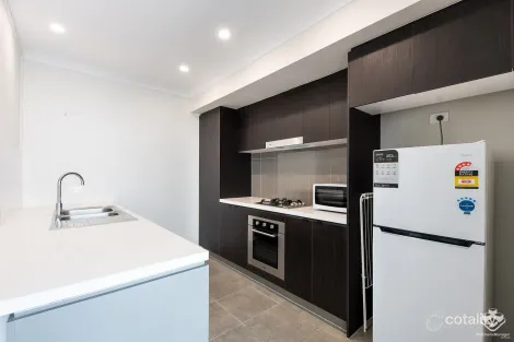 59 Rivina Cct, Coomera, QLD 4209