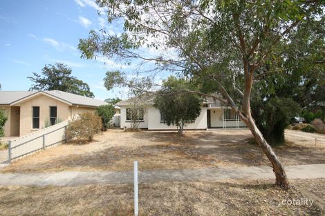 15 Gordon Tce, Morphettville, SA 5043